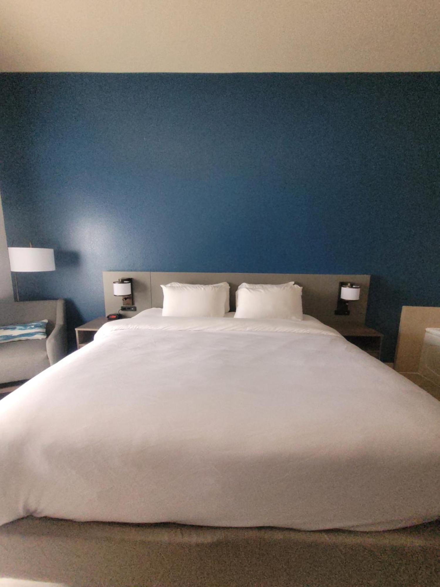 Comfort Inn & Suites ドーサン エクステリア 写真