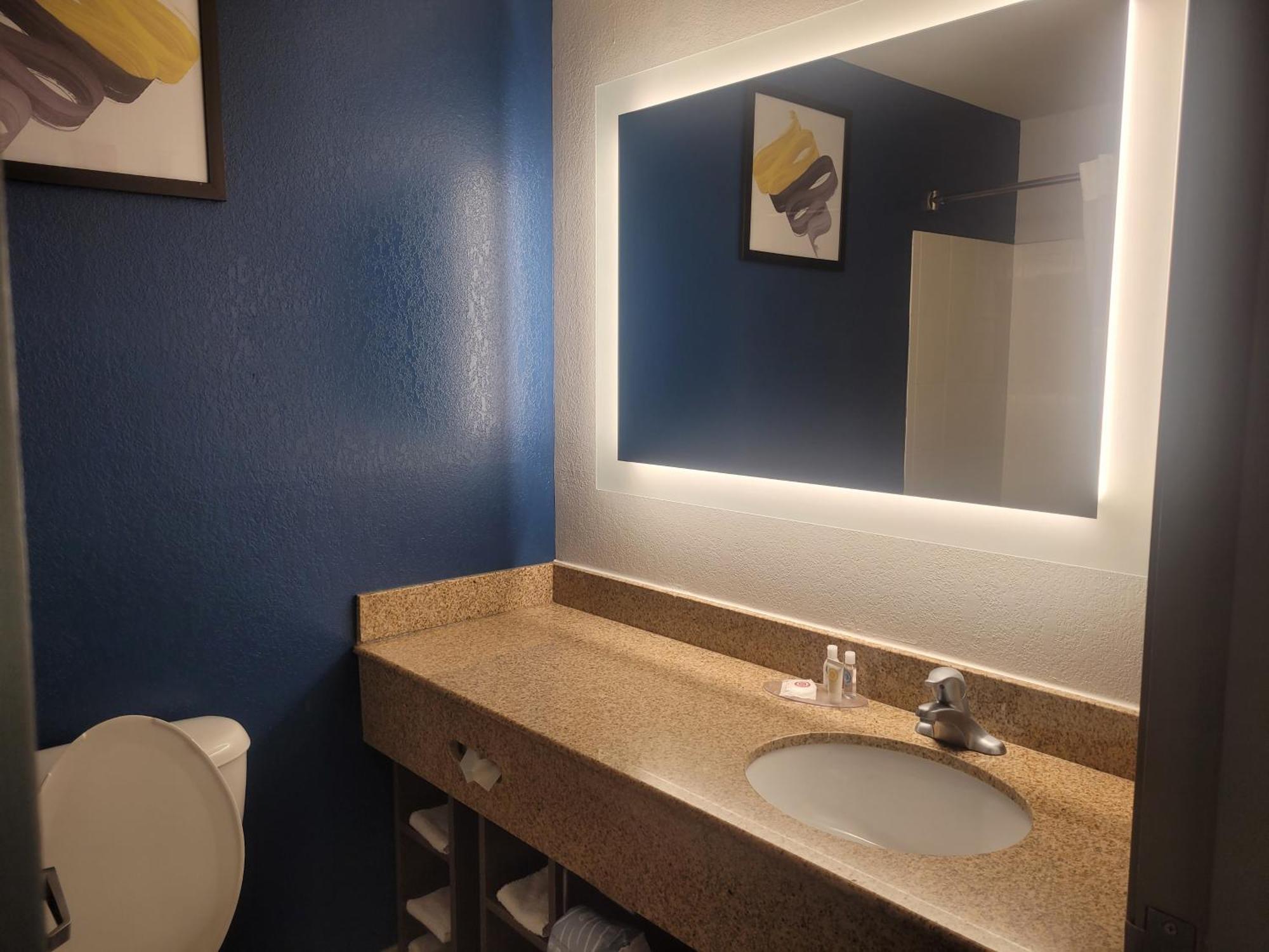 Comfort Inn & Suites ドーサン エクステリア 写真